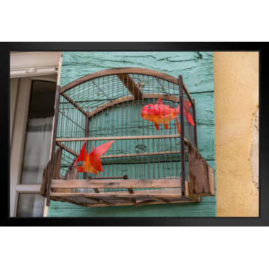 Bird cage store for sale cartimar